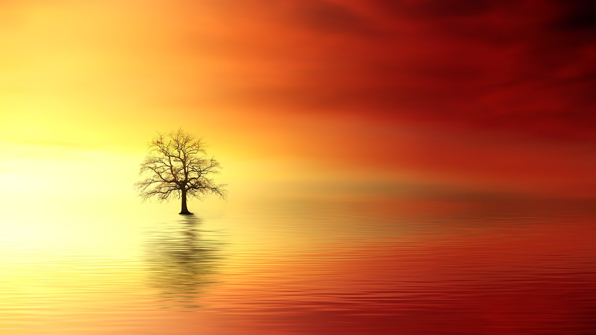 parallax background